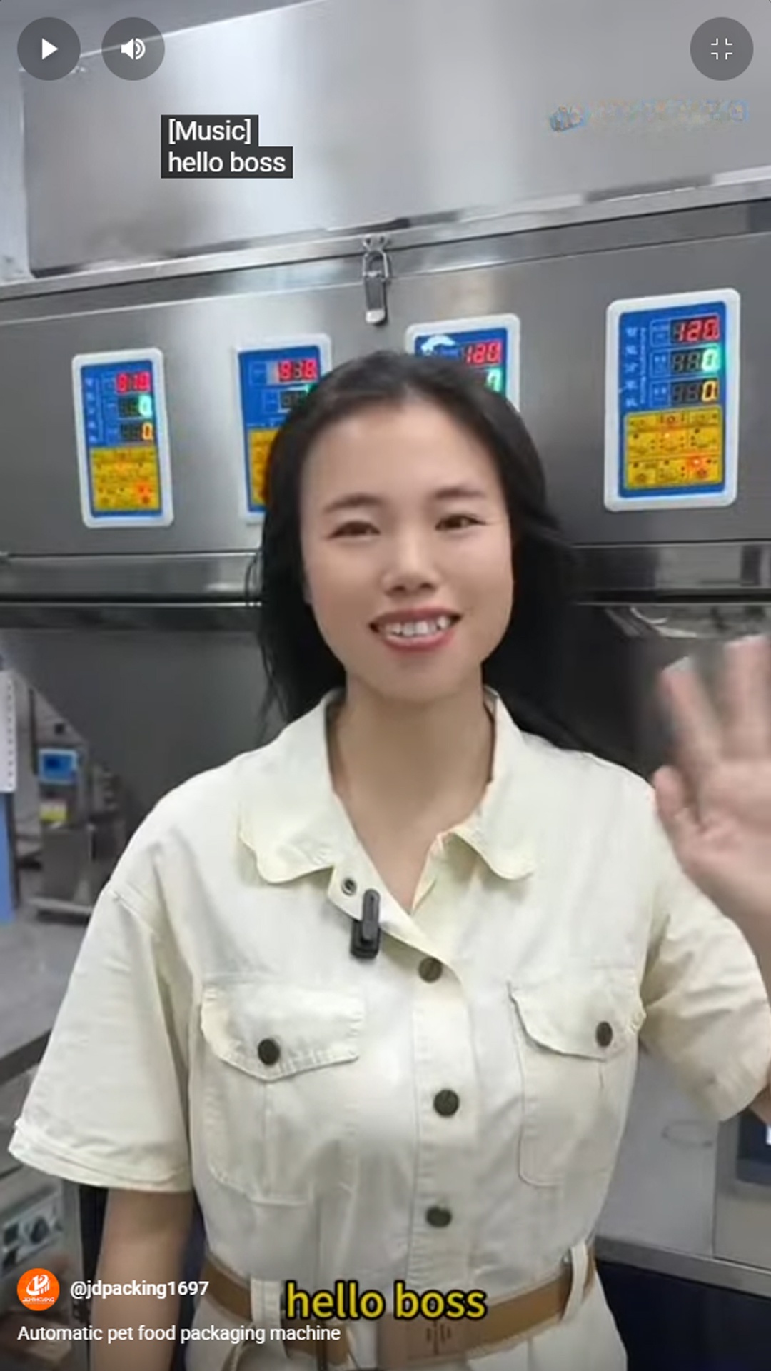 Automatic pet food packaging machine